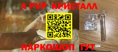 стафф Тара