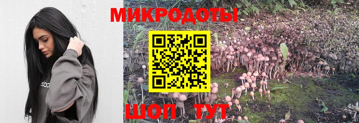 Галлюциногенные грибы Psilocybine cubensis  Галлюциногенные грибы GOLDEN TEACHER  Вход с VPN  Муравленко 